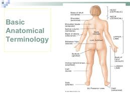 What is the name and location of the world?s largest library? Introduction To Anatomy