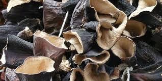 Di dalam mangkuk kecil, gabungkan sos tiram, kicap hitam, wain beras cina atau sherry, gula dan cendawan cendawan yang direndam. 10 Manfaat Jamur Kuping Untuk Kesehatan Bisa Turunkan Kolesterol Dream Co Id