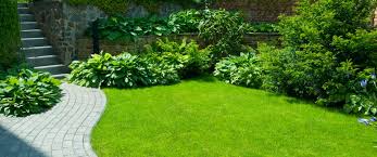 Maybe you would like to learn more about one of these? 5 Exciting Florida Landscaping Ideas For Small Yards