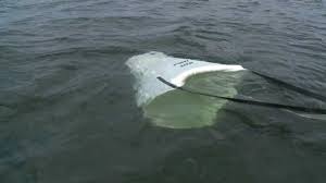 How To Pro Tip Mike Gofron On Boat Control With Drift Socks