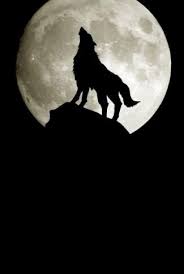 We have a massive amount of hd images that will make your computer or smartphone look absolutely fresh. Download Moon Wallpaper A Howling Wolf Cellularnews