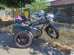 Image result for bicycle sidecar