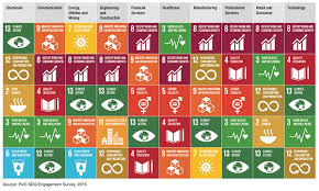 Sdg indicators are the foundation of this new global framework for mutual accountability. Sustainable Development Goals