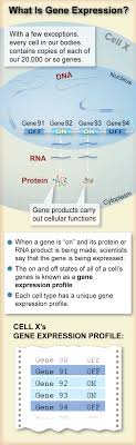 Measuring Gene Expression Teaching Biology Biology Resources Biology Lessons