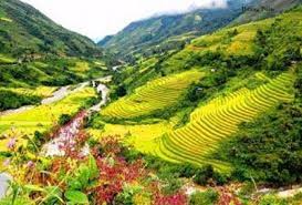 Kết quả hình ảnh cho Cảnh đẹp Mai Châu - Hòa Bình