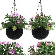 Hanging Basket 3d Model Small Plants Max C4d Obj 3ds Fbx Lwo Stl Plants Indoor Hanging Baskets Hanging Baskets