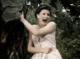 # will ferrell # anchorman # ron burgundy # that escalated quickly # escalated quickly. That Escalated Quickly Funny Gifs Gifvif