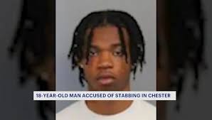 Chester teen accused of stabbing father in chest, arraigned