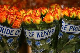 We did not find results for: Why Kenya Is The Flower Garden Of Europe Cnn