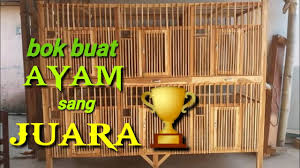 Kandang dengan model seperti ini sudah lama sekali saya produksi namun kali ini baru sempat saya. Kandang Ayam Bok Ayam 8 Pintu 6 Pintu 4 Pintu Dan 2 Pintu Youtube
