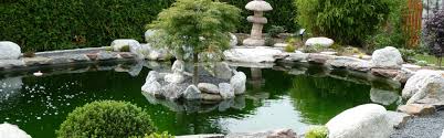 Maybe you would like to learn more about one of these? Frankenland Koi Ihr Koi Handler Im Raum Nurnberg