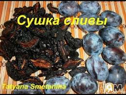 что можно сушить в сушилке для фруктов и овощей Sushka Sliv V Elektrosushilke Zagotovki Na Zimu Youtube Sushka Trav Kulinariya Vkusnyashki