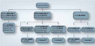 Image result for Osteomyelitis Management