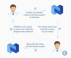 Nexo is considered to be the first platform to provide instant crypto backed loans is adding xrp as the newest collateral option on their platform. 2020 Annual Report Rise Of Crypto Banking Services And Nexo Case Study