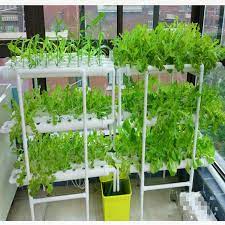 3layers 108 Holes Small Nft Hydroponic Hydroponics System Hydroponics Hydroponic Gardening Diy