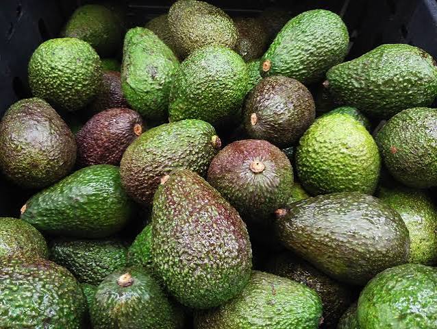 Fresh Avocados