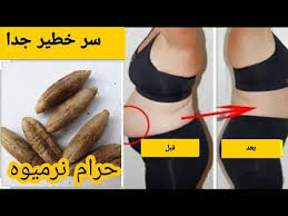 نواة التمر في 5 أيام ستنزل منك كتل من الدهون المخزنة شد البطن و إزالة الكرش نهائيا في رمضان Youtube In 2020 Vegetables