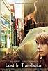 Image result for Lost in translation racehorse