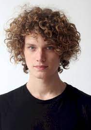 35 Best Curly Hairstyle For Men White Skin Attireal Com Curly Hair Styles Curly Hair Styles Naturally Short Curly Hair