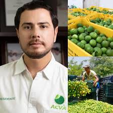 🚨#NOTICIAS| As3sinan a líder de citricultores en Apatzingán. Bernardo  Bravo Manríquez, presidente de la Asociación de Citricultores del Valle de  Apatzingán, fue hallado mu3rto en Michoacán con signos de v¡0l3ncia. Bravo  Manríquez