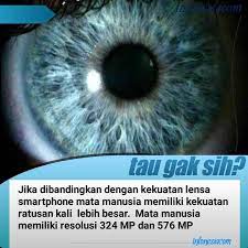 Inilah foto mata manusia dari jarak dekat. Freenstor Resolusi Mata Manusia Melalui Perhitungan Facebook