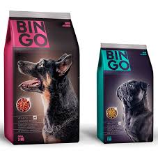 Download Bingo Dog Food Proposal On Behance