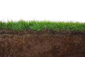 We did not find results for: Native Desert Soil Your Sod Lawn Tips For Success Evergreen Turf Sod