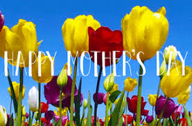 4k animation video motion graphics without bright flowers looping animated background. Cartoon Flowers Gifs Get The Best Gif On Giphy