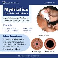 Image result for Mydriatic