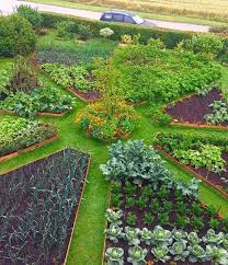 Pin By Tartak Rozedranka On Ogrody Gardens Vegetable Garden Design Garden Layout Vegetable Garden Layout