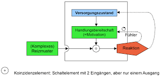 Indem die geschehnisse eines verlaufs nicht isoliert, sondern in ihrer… Verhaltensbiologie Handlungsbereitschaft Und Ihre Beeinflussung