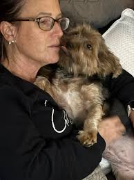 Golden retriever rescue and transformation