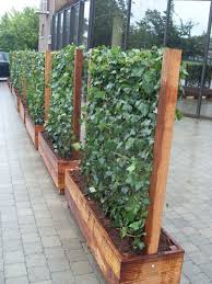 30 Beautiful Garden Fence Decorating Ideas To Follow Vegetable Garden Design Diy Garden Outdoor Gardens
