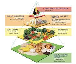 Makanan ini juga membekalkan vitamin, mineral, serat dan sedikit protein. Piramid Makanan 2021 Malaysia Panduan Makanan Seimbang Perlu Tahu