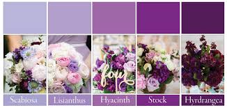We did not find results for: More About Purple And Plum Flowers J Morris Flowers