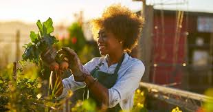 We are here to help legalize urban hens and increase opportunities for urban sustainable living. Best Us Cities For Urban Gardening 2021 Did Your City Make The List Thrillist