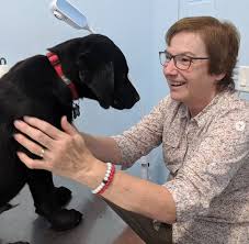 Can vets euthanize a healthy animal? Veterinary Services All Pets Hospital