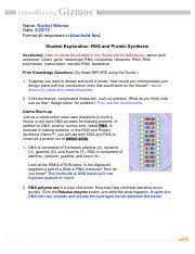 Gizmo building dna answer key pdf + my pdf collection 2021 from s3.studylib.net biology cp study guide (dna, rna, & protein synthesis) answer key. 9 4rna Pdf Name Rachel Weimer Date Format All Responses In Blue Bold Font Student Exploration Rna And Protein Synthesis Vocabulary Refer To Vocab File Course Hero