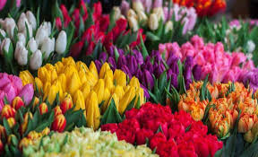 The photos show a couple of the stubborn ones. Does Costco Deliver Flowers In 2021 All You Need To Know