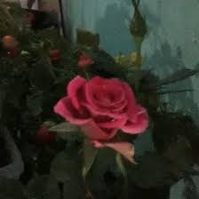 Maybe you would like to learn more about one of these? Berikut Ini Yang Merupakan Komentar Negatif Terhadap Buku Nonfiksi Adalah Brainly Co Id