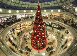 Den Weihnachtsbaum Sicher Aufstellen Berliner Zeitung