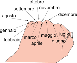 Per quanti giorni l'anno il dipendente può assentarsi dal lavoro? Mesi Dell Anno