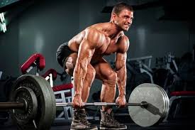 Beginner Gym Workout Routine
