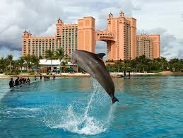 Marine Experiences @ Atlas Village | Dolphins & Sea Lions Encounter In  Dubai'S Top Waterpark - Aquaventure World