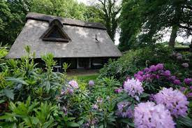 Haus kaufen in worpswede vom makler und von privat! Ferienhaus Unter Reetdach In Worpswede Niedersachsen