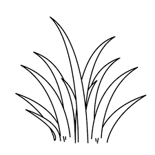 Dt76kb9xc Jpg 600 600 Flower Coloring Pages Coloring Pages Grass Clipart