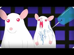 A problem in your brain is often a serious one, s. Pinky And The Brain Wissenschaftlich Korrekt Mehr Traurig Als Lustig Seriesly Awesome