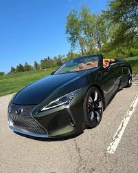 Image result for Nori Green 2025 LZ