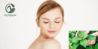 Tắm lá tía tô có tác dụng gì?