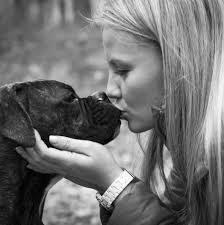 Maybe you would like to learn more about one of these? How To Get Over Death Of Your Pet